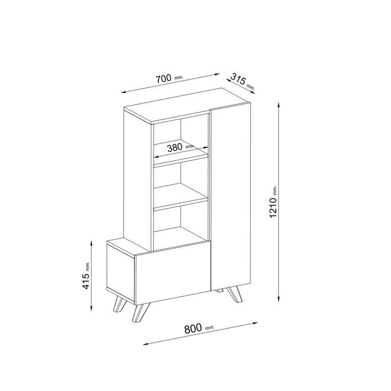 Cabinet with Shelf Multi Purpose Evian