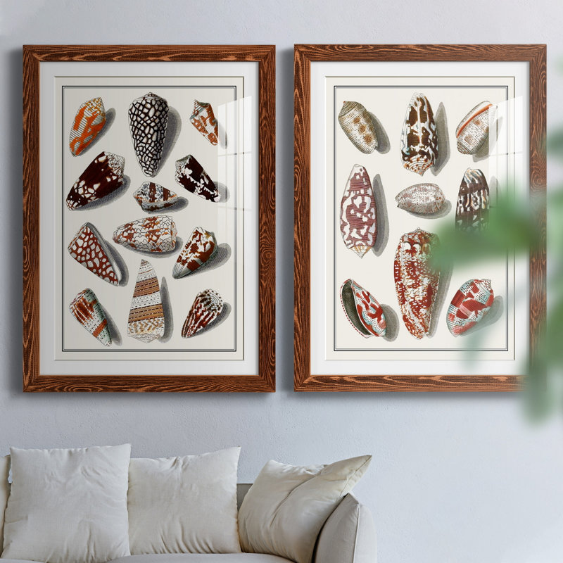 Toile encadrée avec coquillages collectés - prêt à accrocher, H 31,5 po x l 47 po x P 1,5 po, Papier avec cadre érable, Blanc