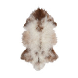 Twombly Sheepskin Area Rug