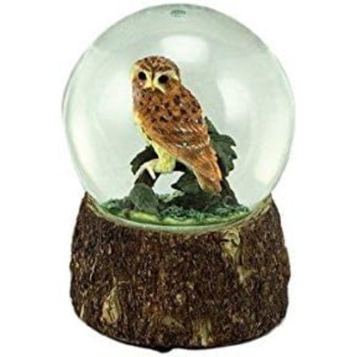 Tabletop Or Desk Globe