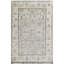Oriental Area Rug in Light Gray/Beige-63321485