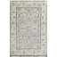 Oriental Area Rug in Light Gray/Beige