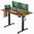 Brun / noir