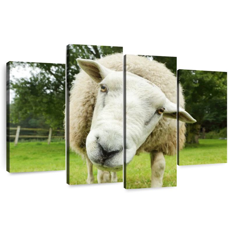 Brampt Nosy Sheep, H 32 po x l 52 po
