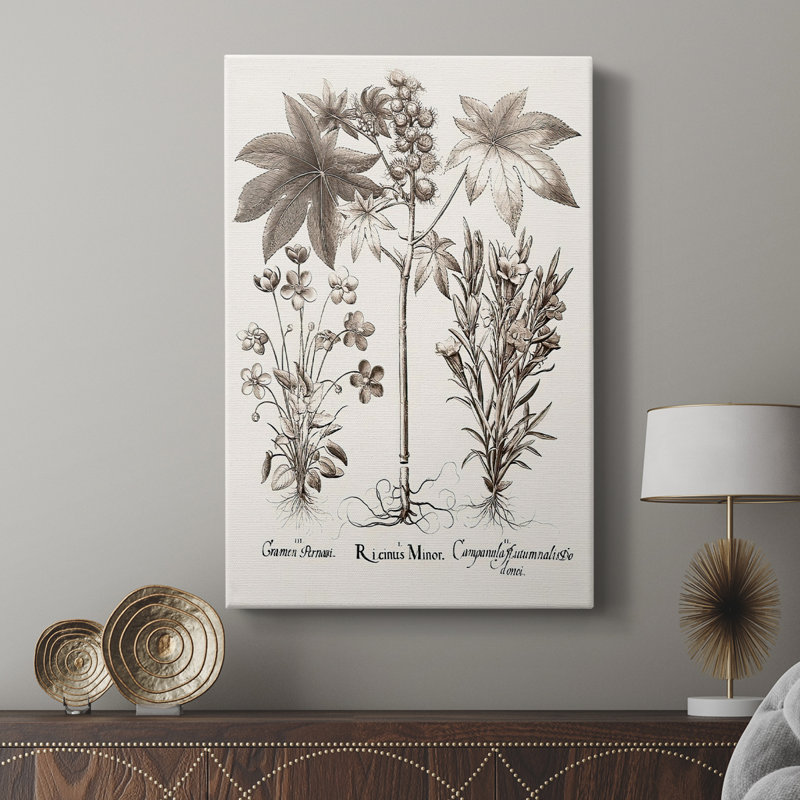Sépia Besler Botanicals VI - galerie sur mesure Cavas, H 36 po x l 24 po
