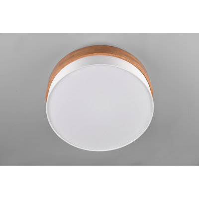 Rennan 3-Light 50cm LED Integrated Flush Mount