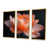 Toile avec cadre flottant or