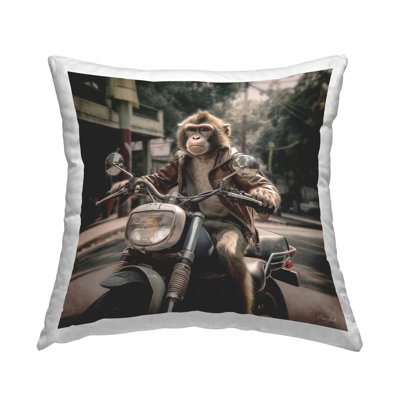 Throw Pillow