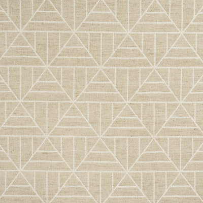 Payne Fabric