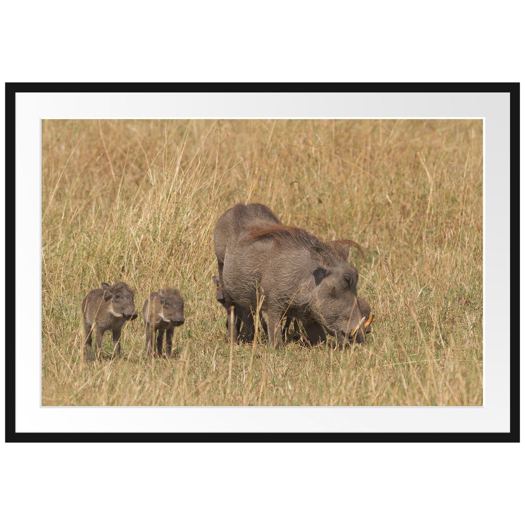 Gerahmtes Poster Warzenschweinfamilie Savanne