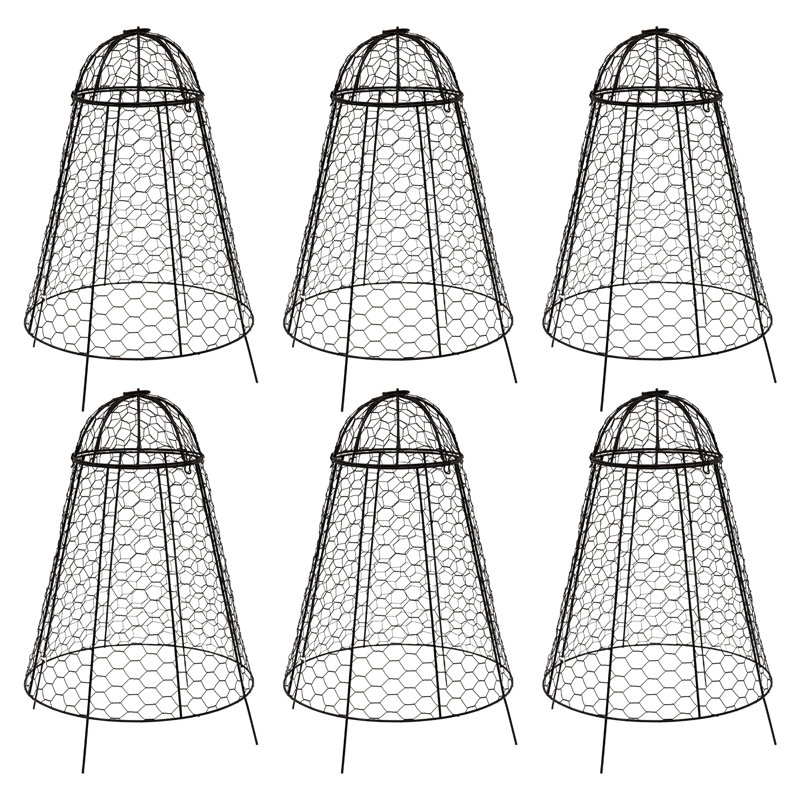Protecteur de plantes cloche en fer avec couvercle amovible - paquet de 6