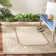 Liddington Performance Oriental Rug