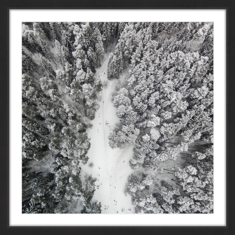 Karolis Janulis - Single Picture Frame Print, 51 cm H x 51 cm W x 3.81 cm D