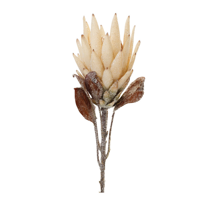 Protea Flower Stem, Beige/Brown