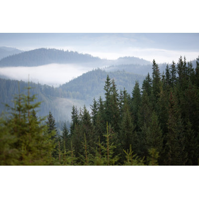 " Mountain And Trees " by Waldru
