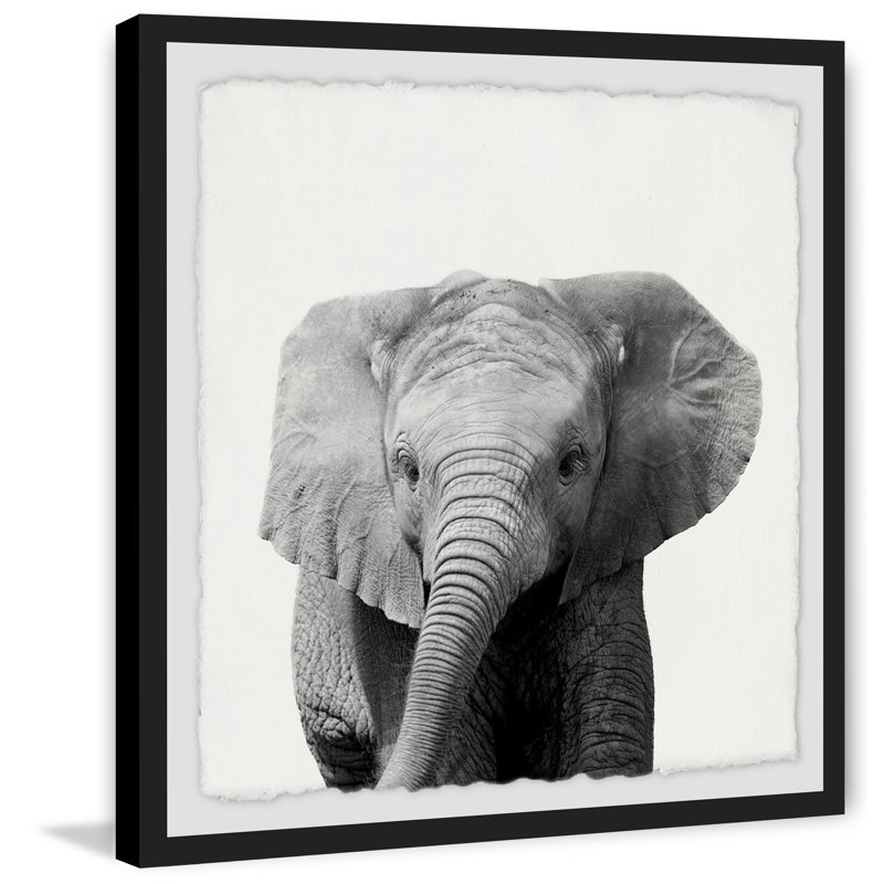'King of the Elephants' Framed Print, 12" H x 12" W x 1.5" D