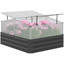 Brishae Raised Garden Bed