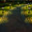 Satin Black Solar Powered Integrated LED Pathway Light Kit Pack
