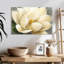 Fleur de magnolia Harnek sur fond gris-106428488