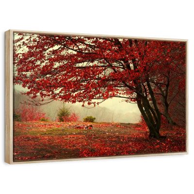 Arbre rouge en automne