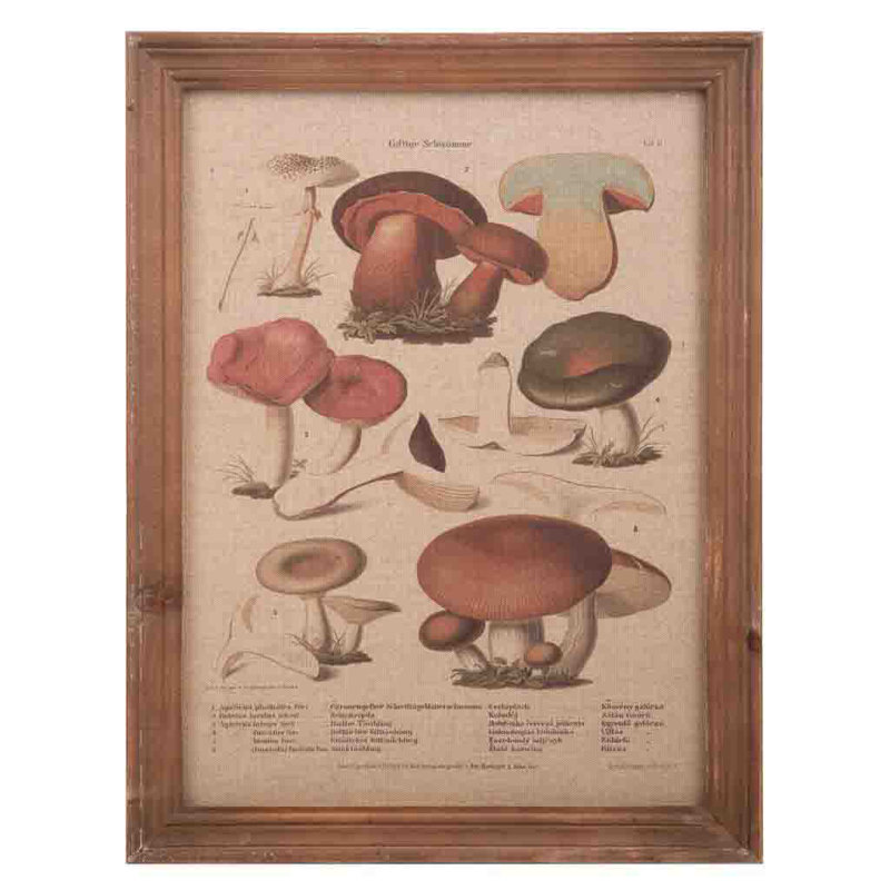 Single Picture Frame Print