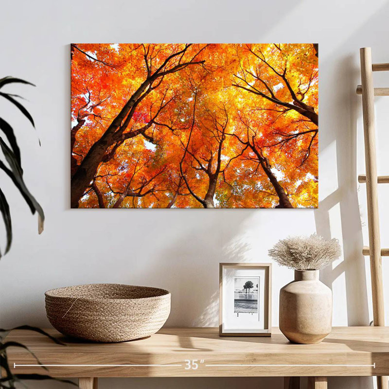 Auvent d'automne Alvord, H 16 po x l 24 po