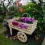 29.72'' H x 29.53'' W Book Cart