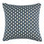 Betwixt Throw Pillow-70193156-70193160
