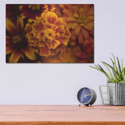 «Marigold Petals» par Leah McLean
