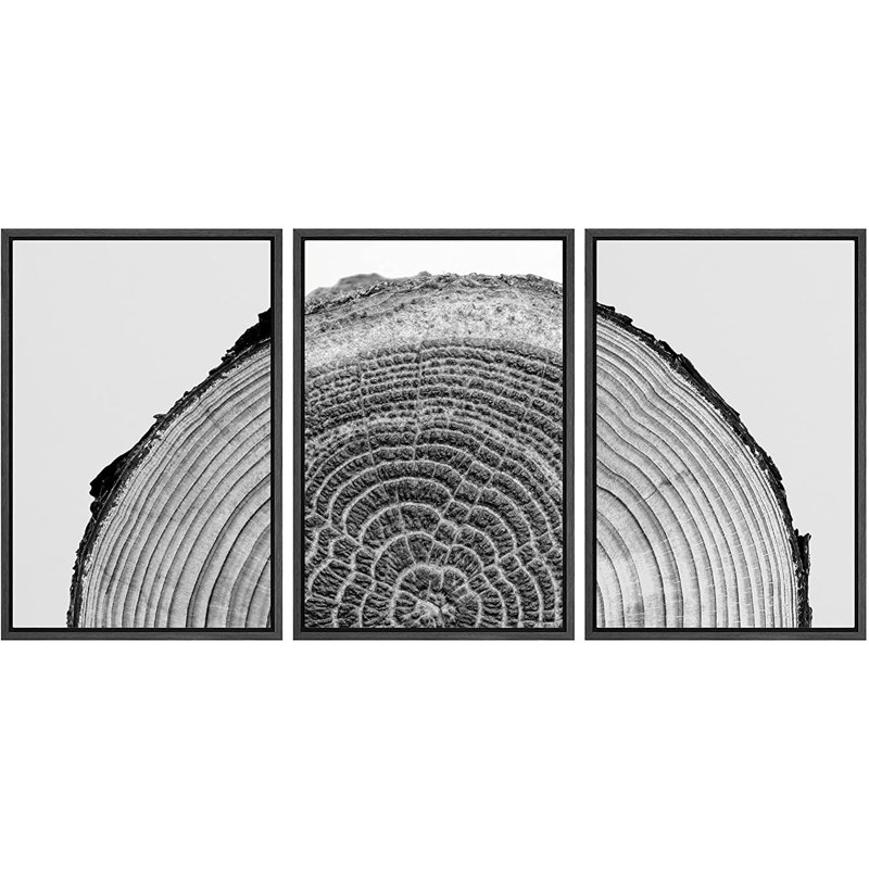 Black Framed Nature Tree Rings Canvas Print Set
