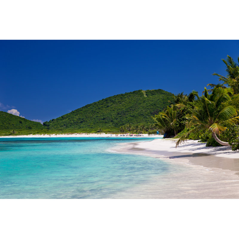 Plage de flamenco par CDheatley, H 12 po x l 18 po