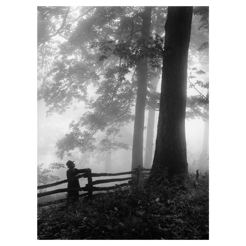 Joe L. Hartley dans les bois brumeux par Hugh Morton - Estampe numérique, H 40 po x l 32 po