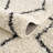 Adeeva Shaggy Performance Tasseled Cream/Black Area Rug-576438291