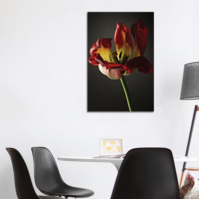 Studio Flowers XII 1 Piece Wrapped Canvas Wall Art
