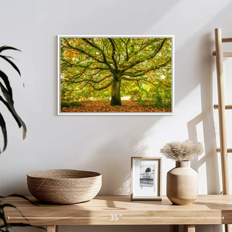 Chêne de Londres, Cadre flottant blanc, 19 po x 13 po