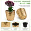 Pot à fleurs 5 po Modern-1830230551