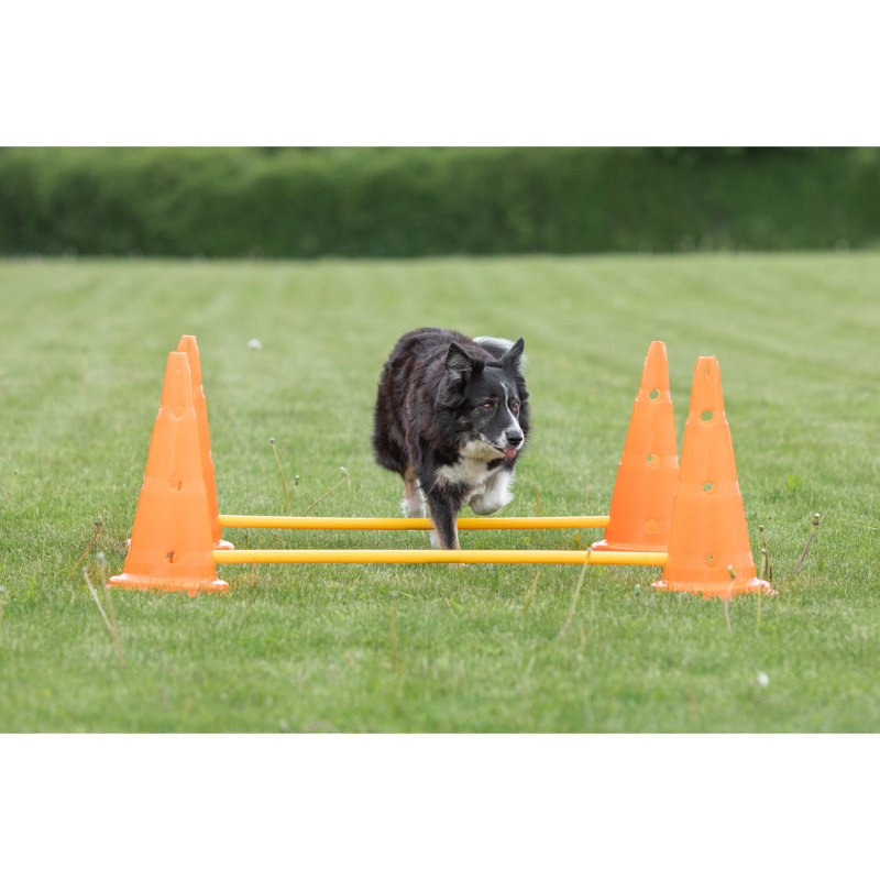 Adjustable Orange and Yellow Dog Agility Hurdle Cone Set