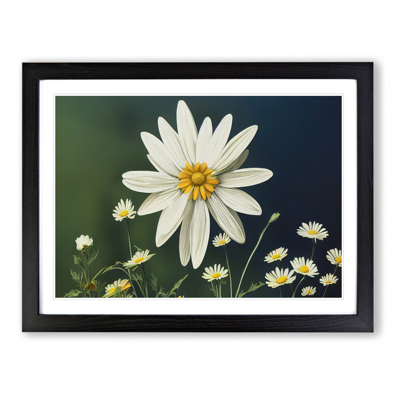 Sparkling Daisy Flowers - Framed Print, Black, 46cm H x 64cm W x 2cm D