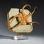 Genuine Ophiuroidea Brittle Star Fossil with Customized Display Stand (1.8 lbs)