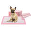 Sabin Plastic Pet Pee Pad