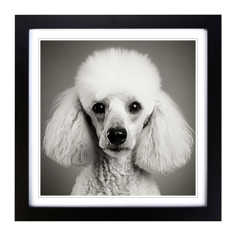 Poodle No.1 - Single Picture Frame Print on Wood, Black
