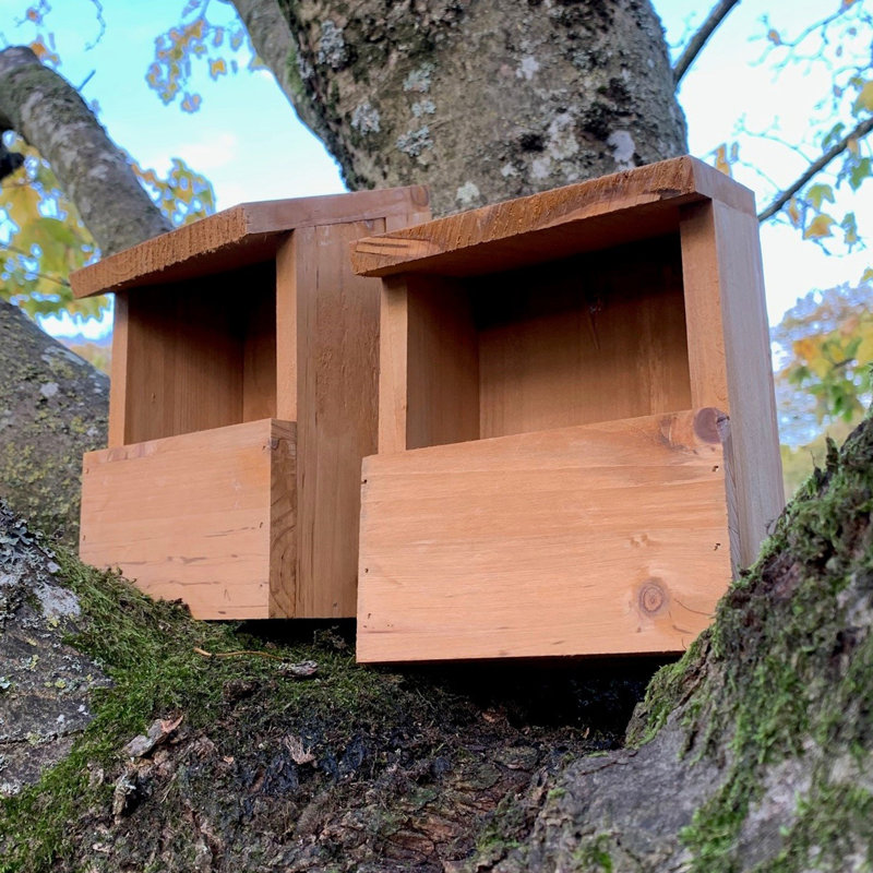 Wooden Robin Mounted Bird House