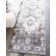 Walmoor Oriental Indoor Rug