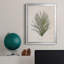 Palmier botanique I - impression-2113867222-2113867223