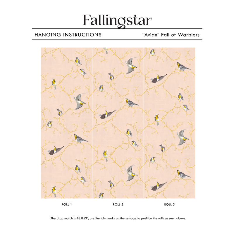 Fall of Warblers