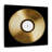 " Gold Vinyl Record "-1069946696