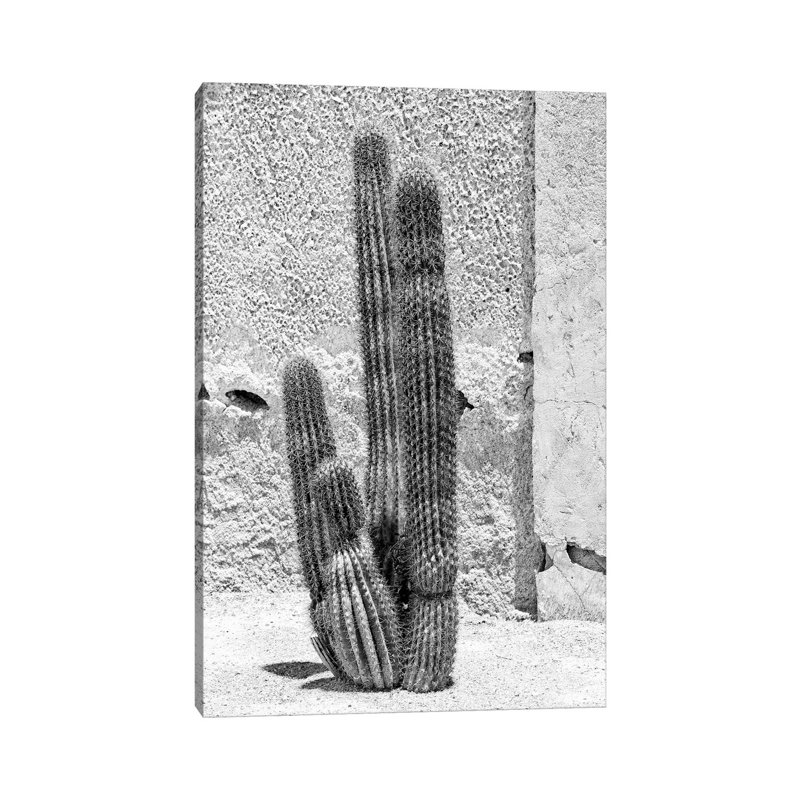 Arizona Series - Cactus 1 Piece Wrapped Canvas Wall Art, 30.48 cm H x 45.72 cm W