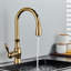 Fairmont Park Osterdock Pull Out Kitchen Faucet
