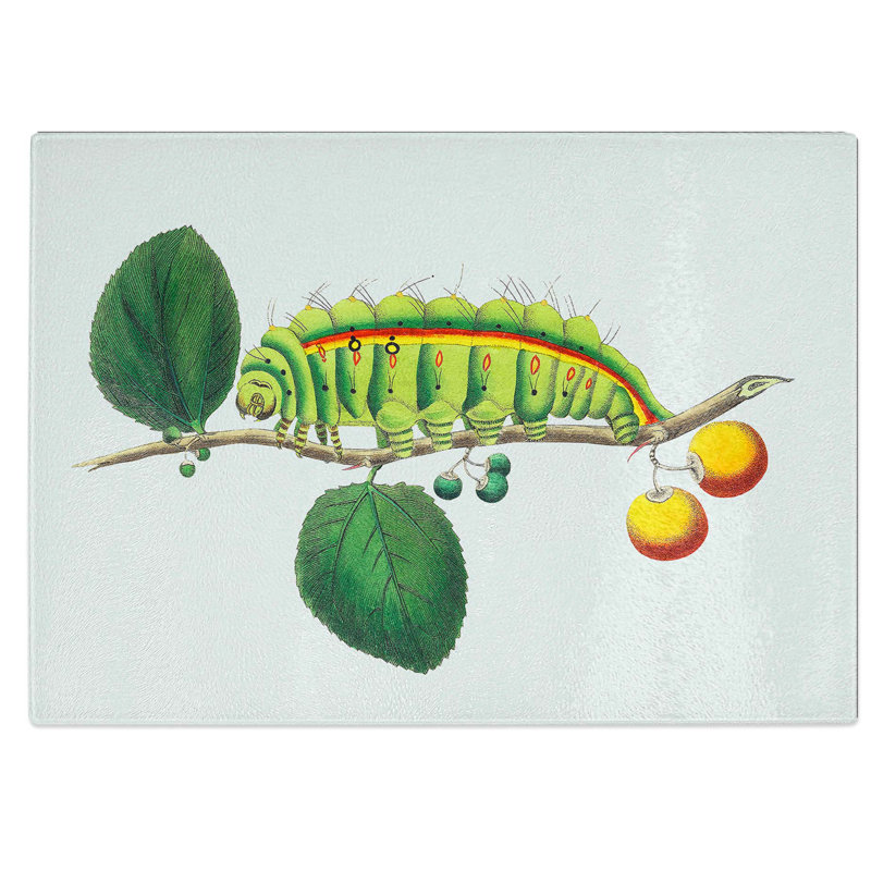 Tempered Glass Caterpillar Chopping Board, 28.5 cm W x 20 cm L