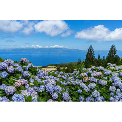 Azorean Landscape With Hydrangeas par - Photographie de toile tendue